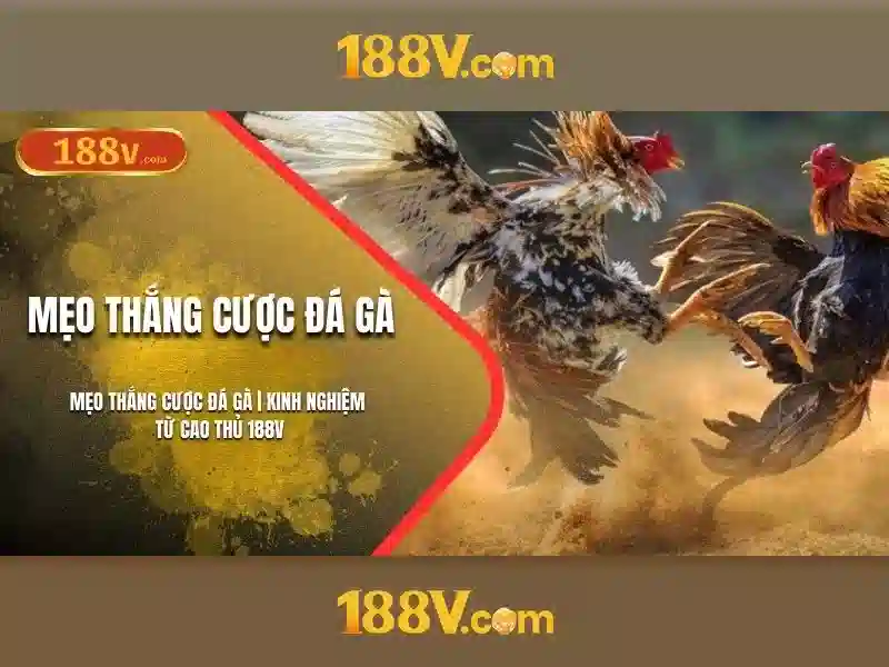 Bull Bull trực tuyến