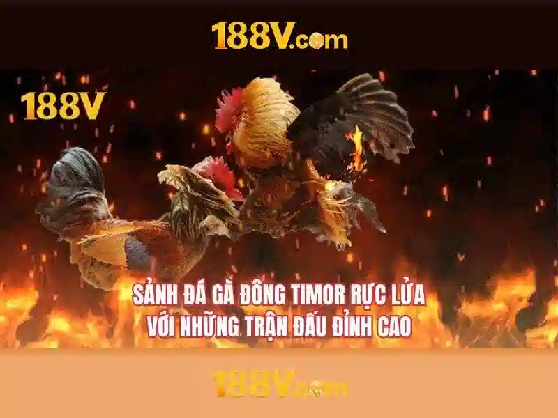 Tương lai của 188v trong viễn cảnh toàn cầu