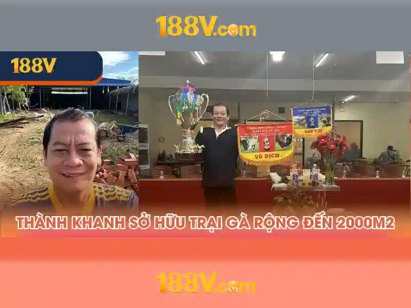 Việt Vị Trong Bóng Đá