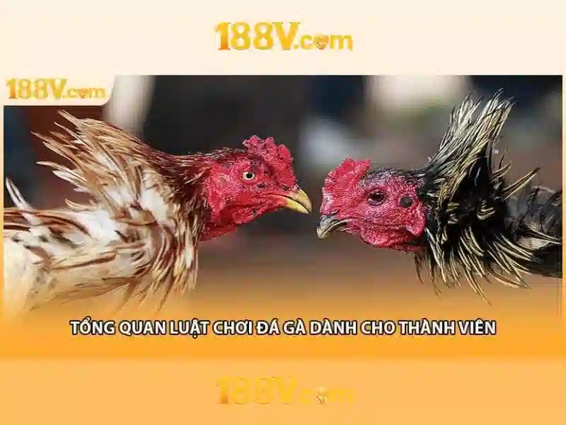 Khái niệm và đo lường điện áp 188V