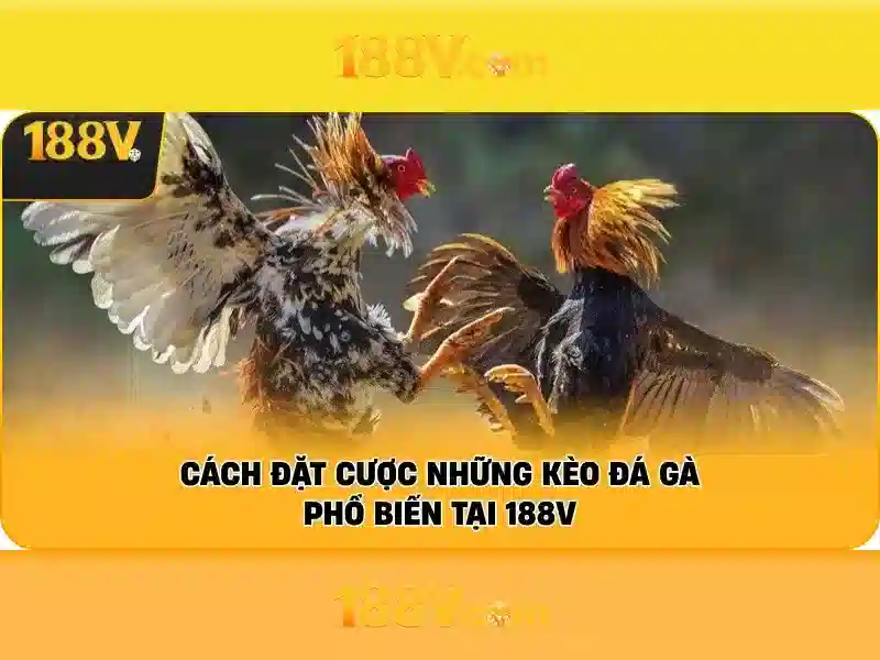 Việt Vị Trong Bóng Đá