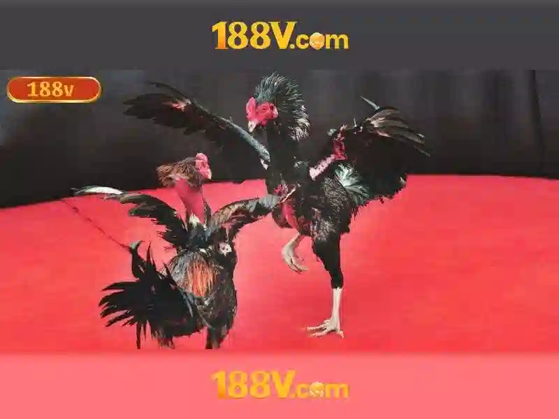 Việt Vị Trong Bóng Đá