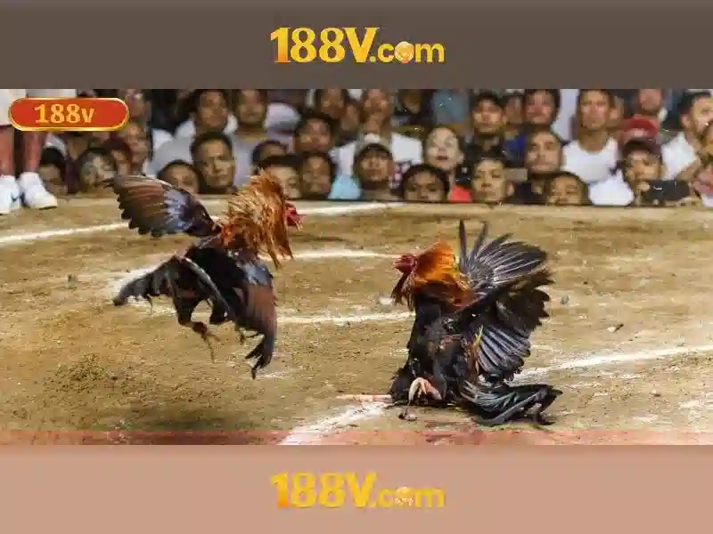 Ứng dụng và ví dụ thực tế