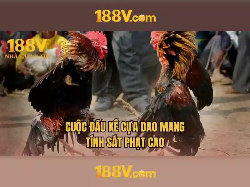 188v nhà cái – tổng quan chủ đề và giá trị cốt lõi
