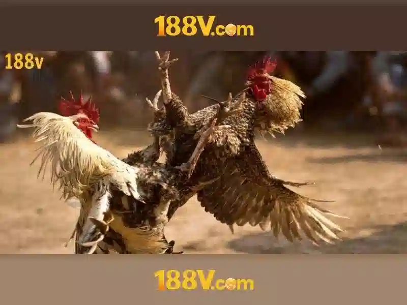 Ứng dụng và tác động xã hội