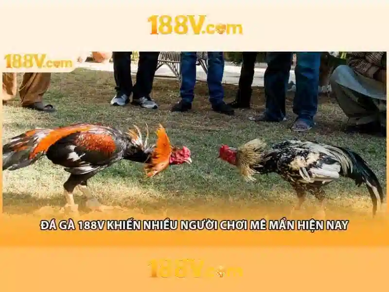 Ứng dụng trong công nghệ và văn hóa\n\n