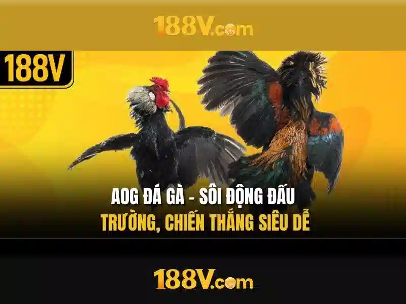 Việt Vị Trong Bóng Đá