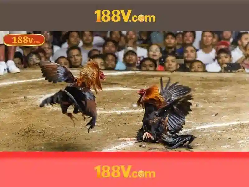 188v 188vv.com.vn – Tóm tắt chủ đề và giá trị cốt lõi\n