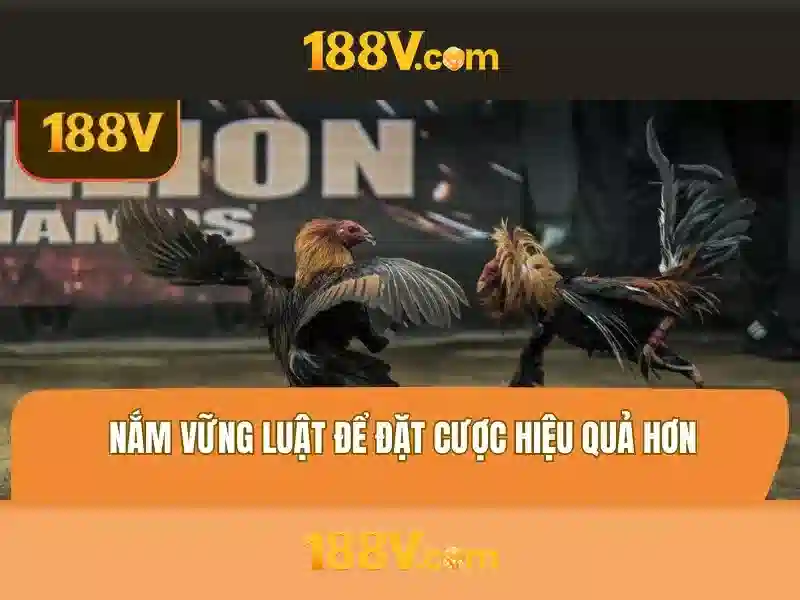Việt Vị Trong Bóng Đá