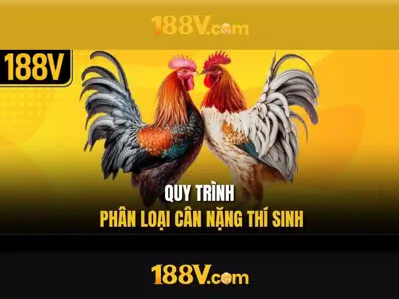 Nguồn gốc và ý nghĩa của 188v