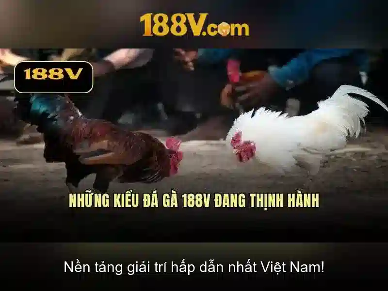 Bull Bull trực tuyến