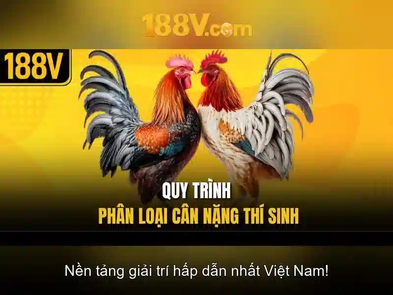 Việt Vị Trong Bóng Đá