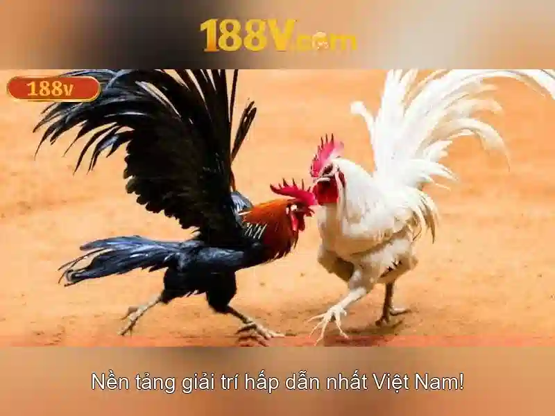 Định nghĩa và an toàn khi làm việc với 188V