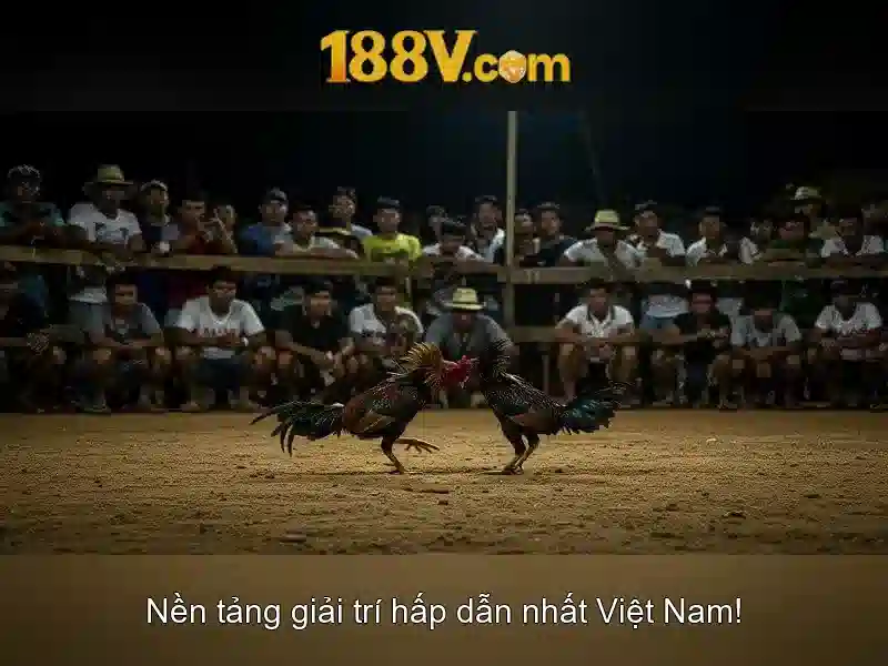 Cách hiểu 188v ở mức độ thể chế và giáo dục