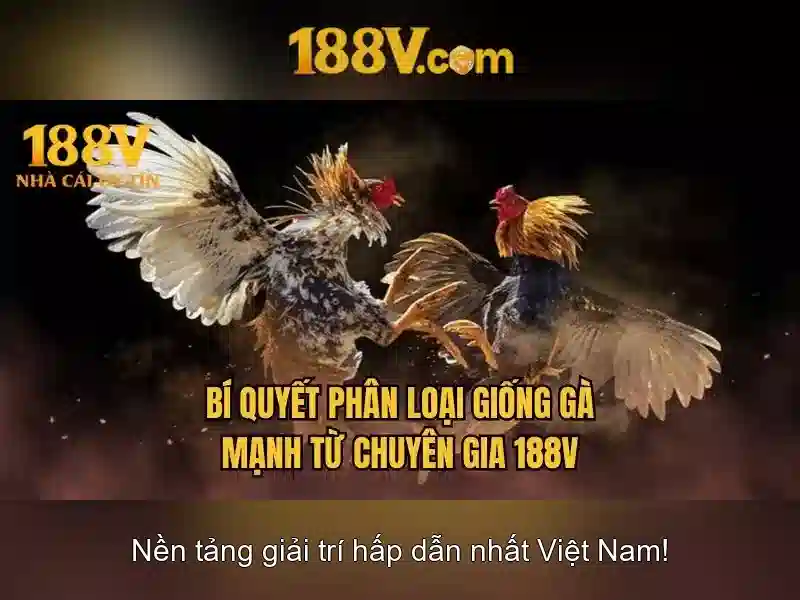 Đặc điểm công nghệ của 188v