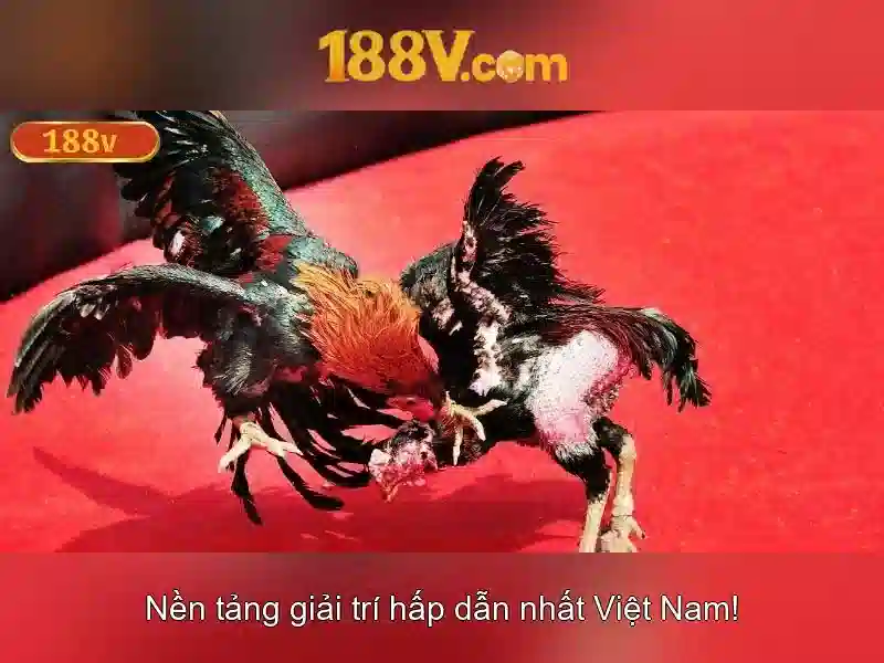 Bull Bull trực tuyến