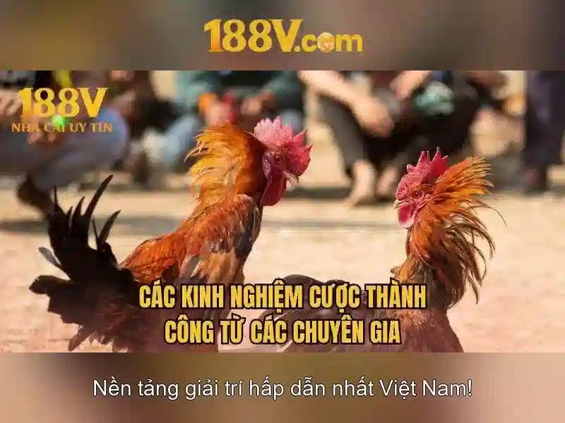 Khái niệm 188V và nguồn gốc của tên gọi