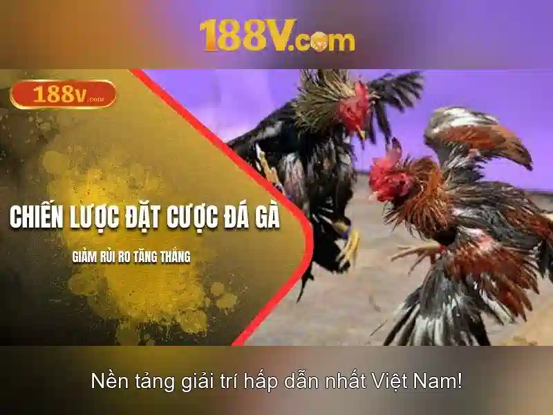 Kiến trúc và công nghệ phía sau 188v