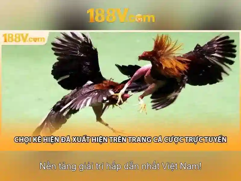 Chủ đề tong quan cua 188v com ios