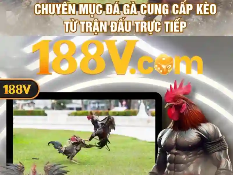 <!--IMG_PLACEHOLDER alt>Các sản phẩm và dịch vụ chính của eSports 188v-->