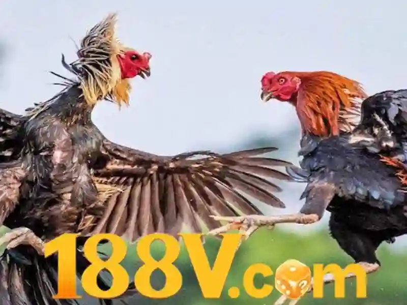 Việt Vị Trong Bóng Đá